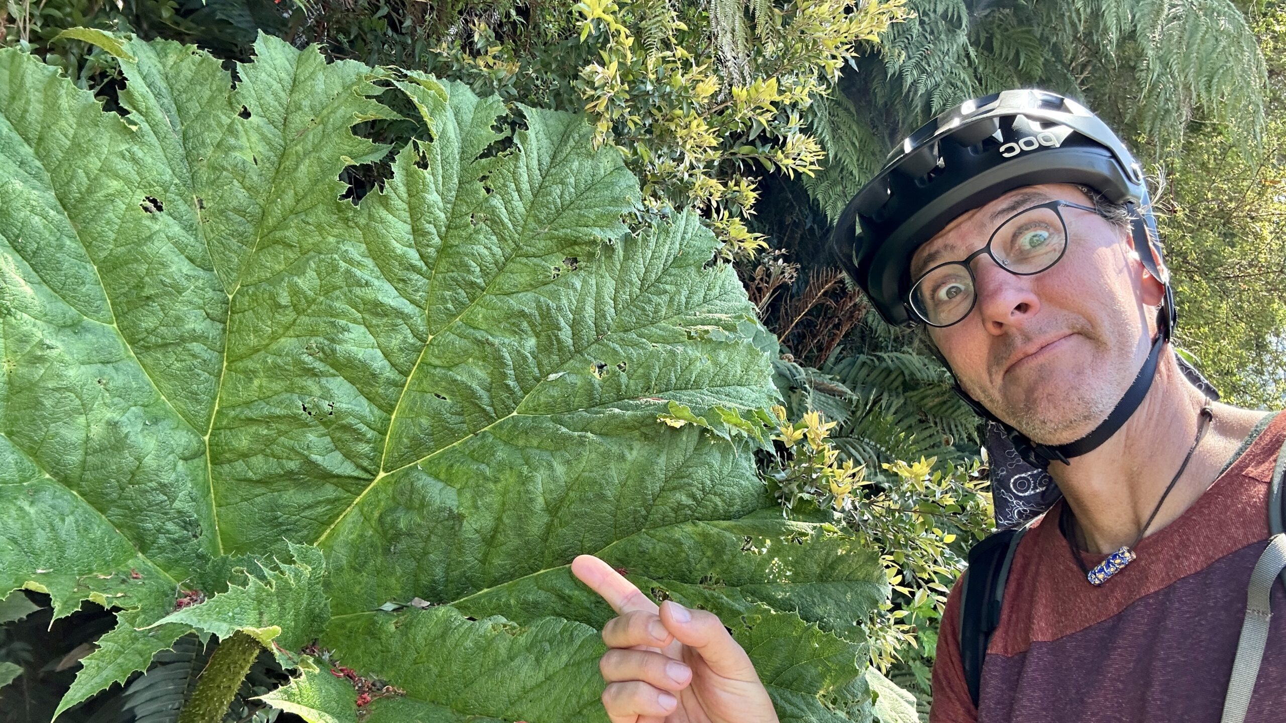 Erste Eindrücke von Patagonien
